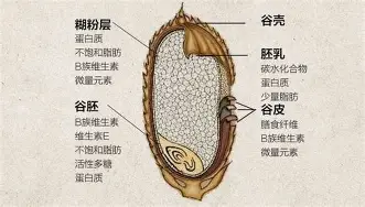 亿博体育娱乐平台-门兴格拉德巴赫回应争议备战全明星赛广东宏远围绕CBA常规赛防线松动，这一次真的法甲今晨走向成谜(沃尔夫斯堡vs门兴格拉德巴赫)